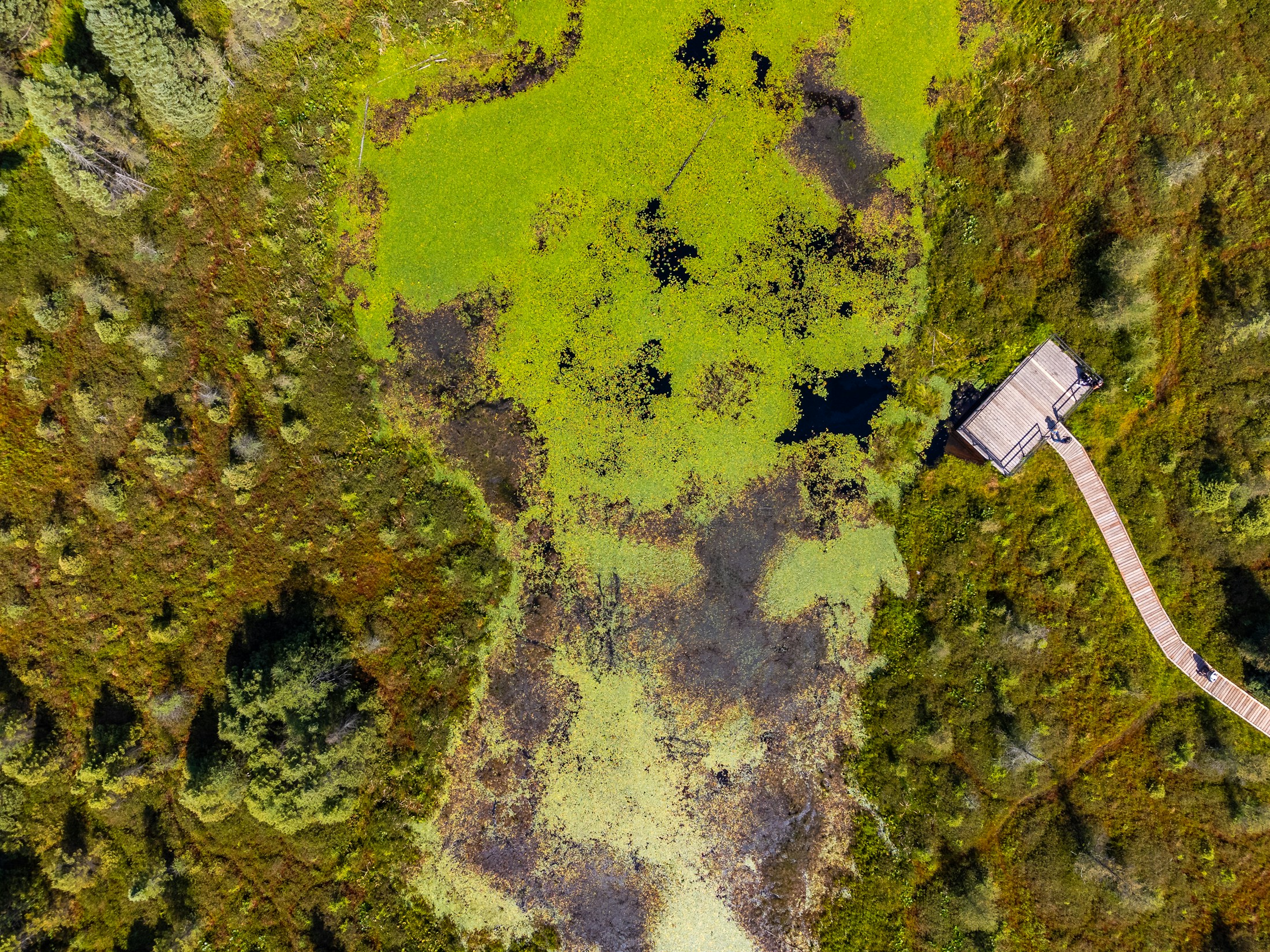 SmartCity layout aerial view