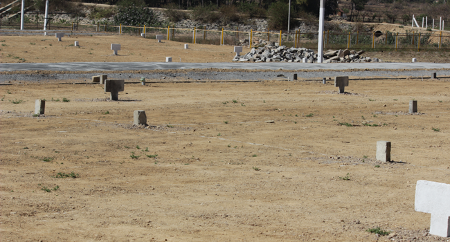 Plot layout