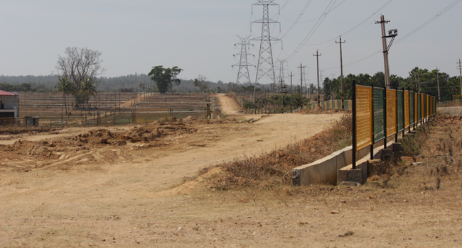 Site development