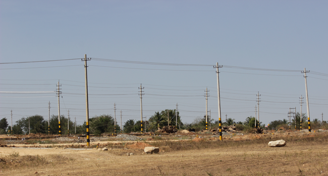 Site development